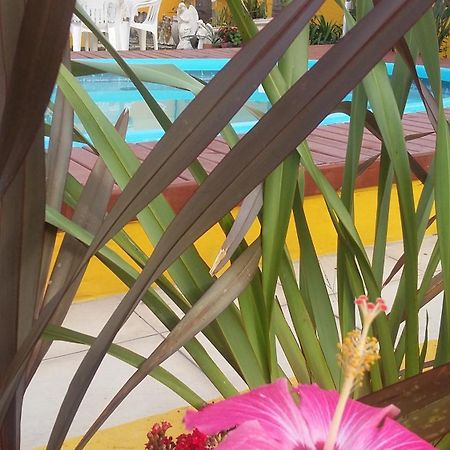 Casa Pousada Rosa Dos Ventos Florianopolis Ngoại thất bức ảnh