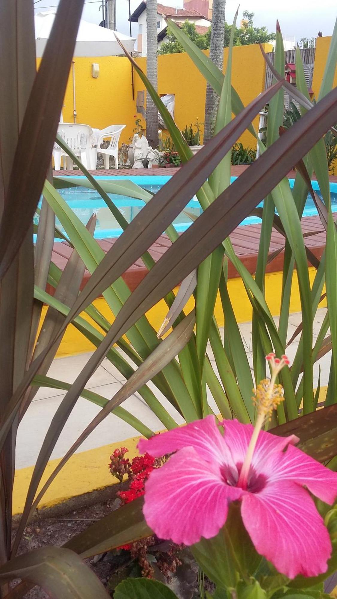Casa Pousada Rosa Dos Ventos Florianopolis Ngoại thất bức ảnh